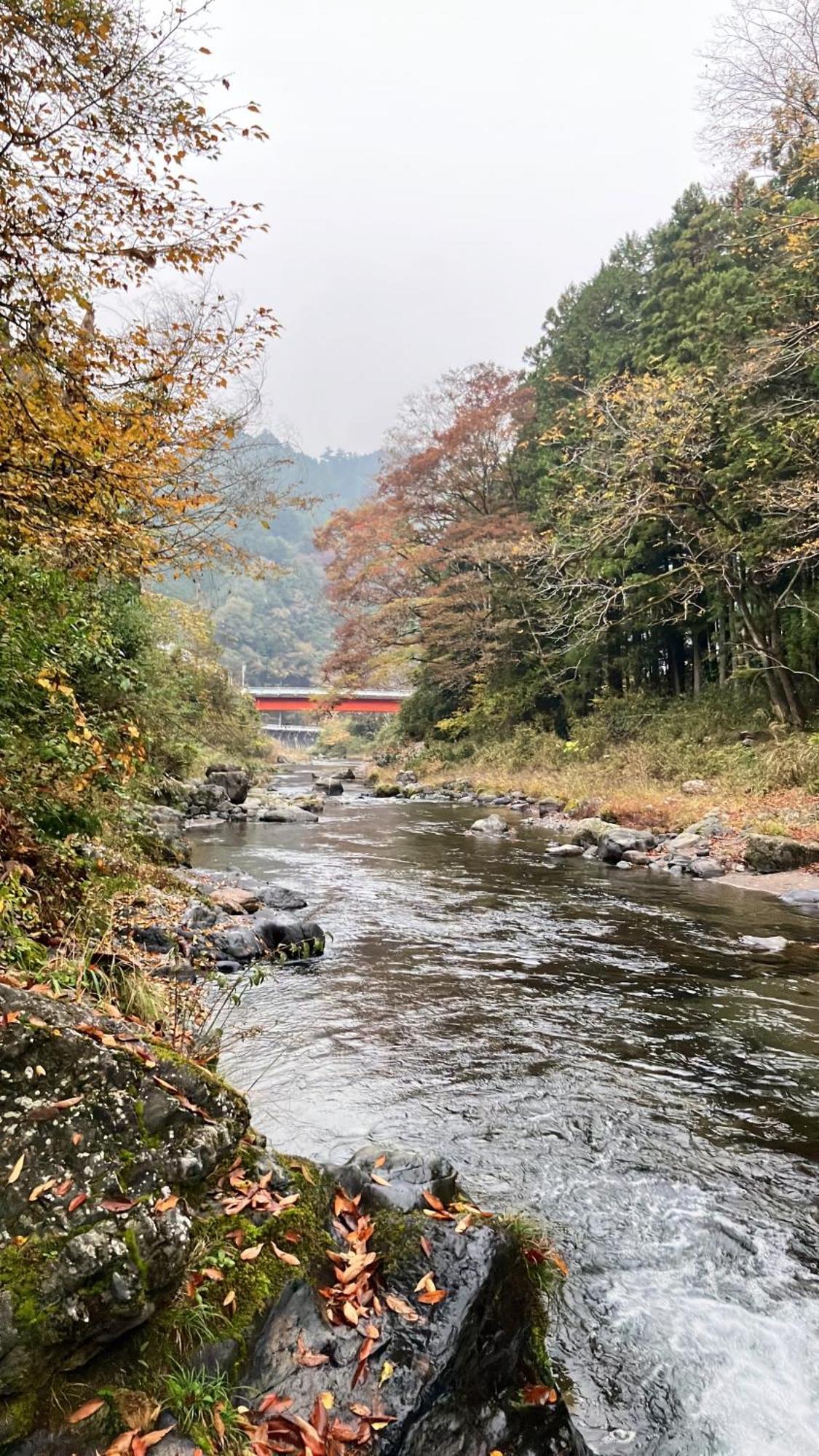 川辺-kawabe-bbq-川遊び-fishing Ferienhaus